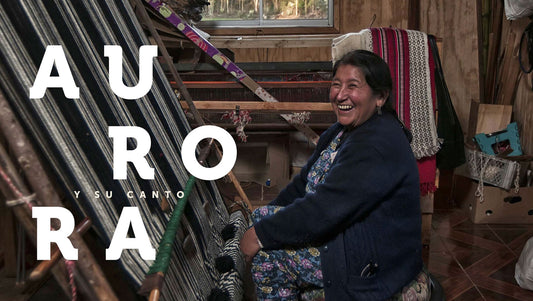Herederas de Llalliñ. Relatos de 17 artesanas mapuche