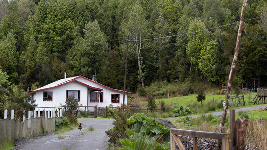 Un viaje al corazón de la artesanía en Chiloé