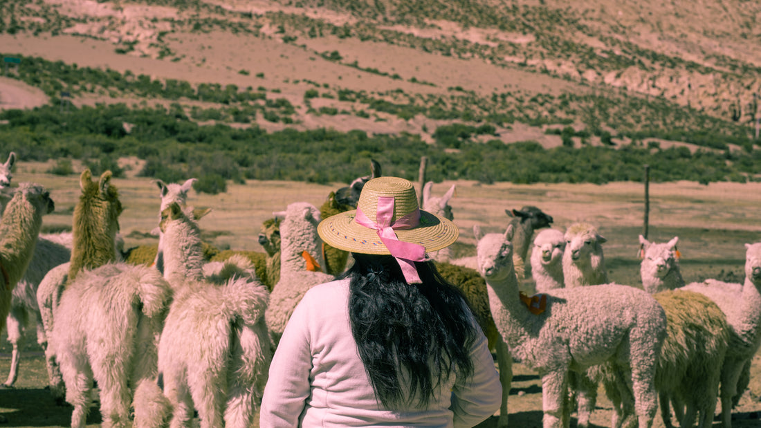 Los colores de la tradición: el arte del teñido aymara