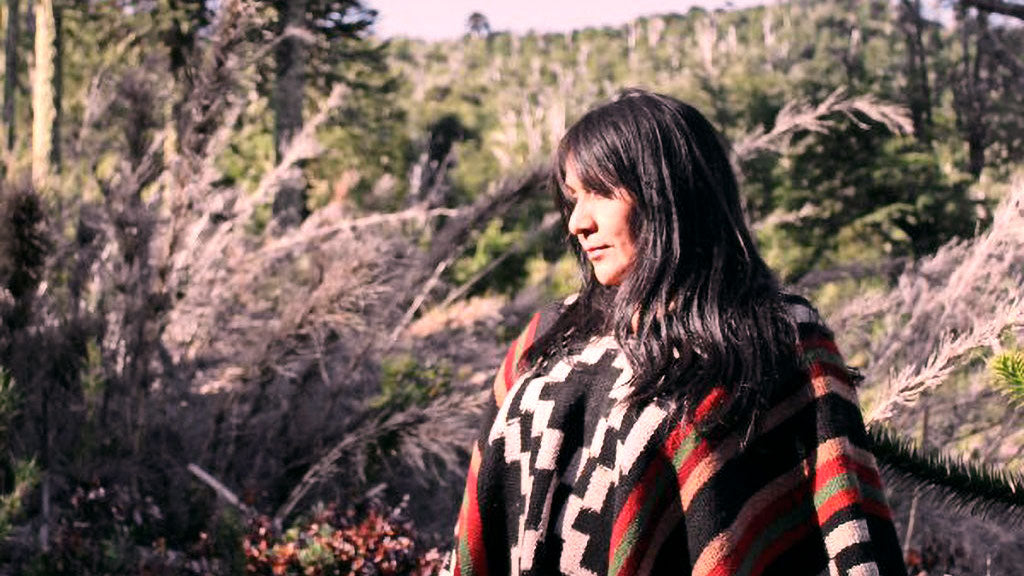 María Teresa Curaqueo: Símbolos en el arte textil Mapuche