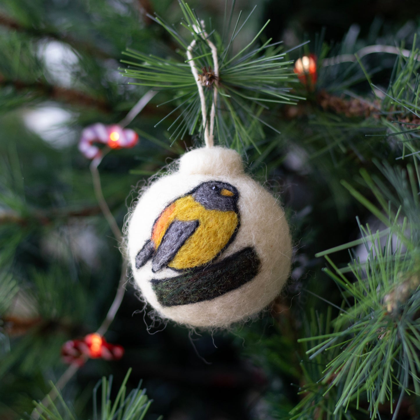 Esferas Aves de Chile