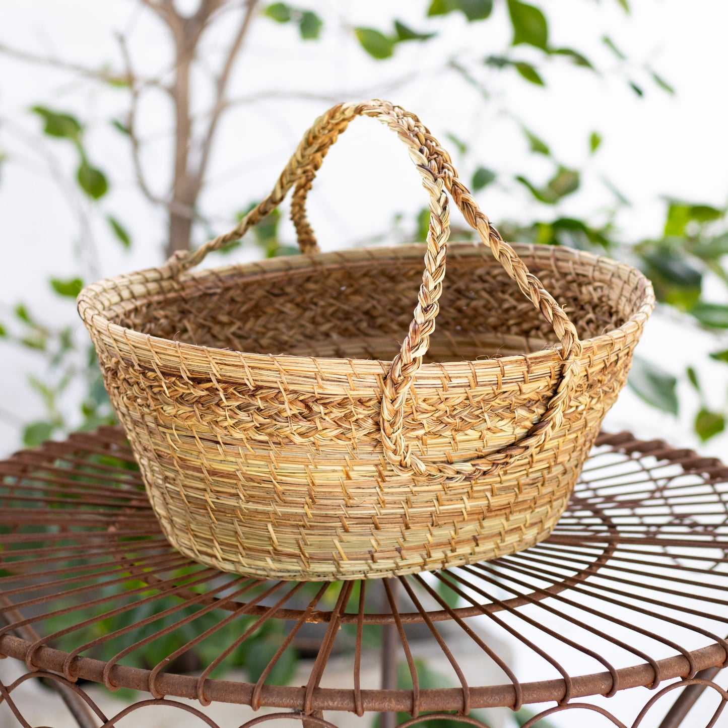 Wild Basket