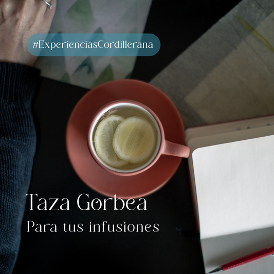 Gorbea infusion cup
