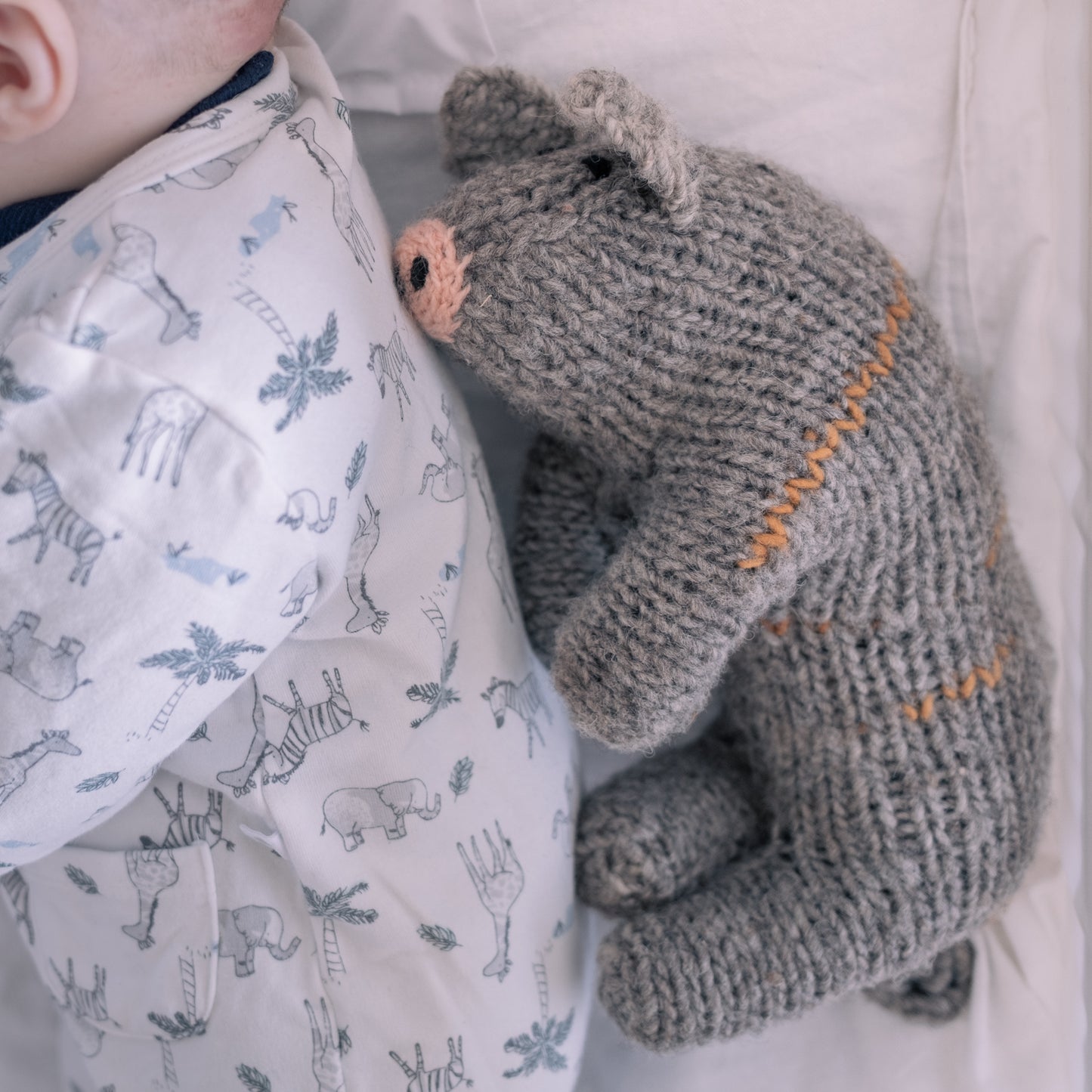 Little Pig Robemilio