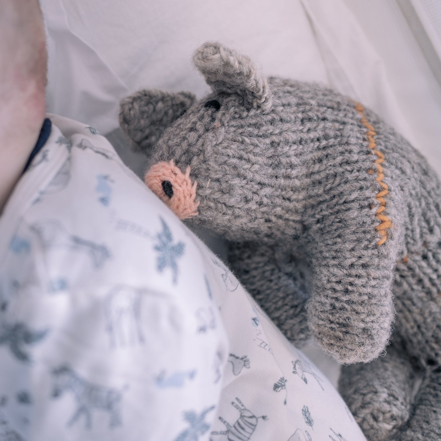 Little Pig Robemilio