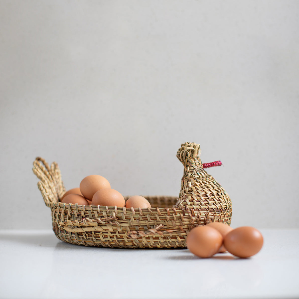 Gallina Josefina