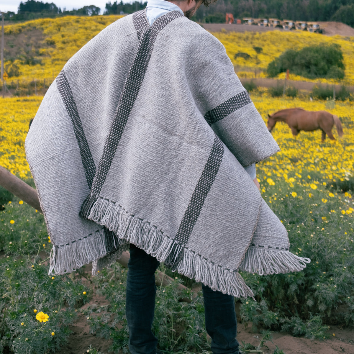 Poncho Lonko