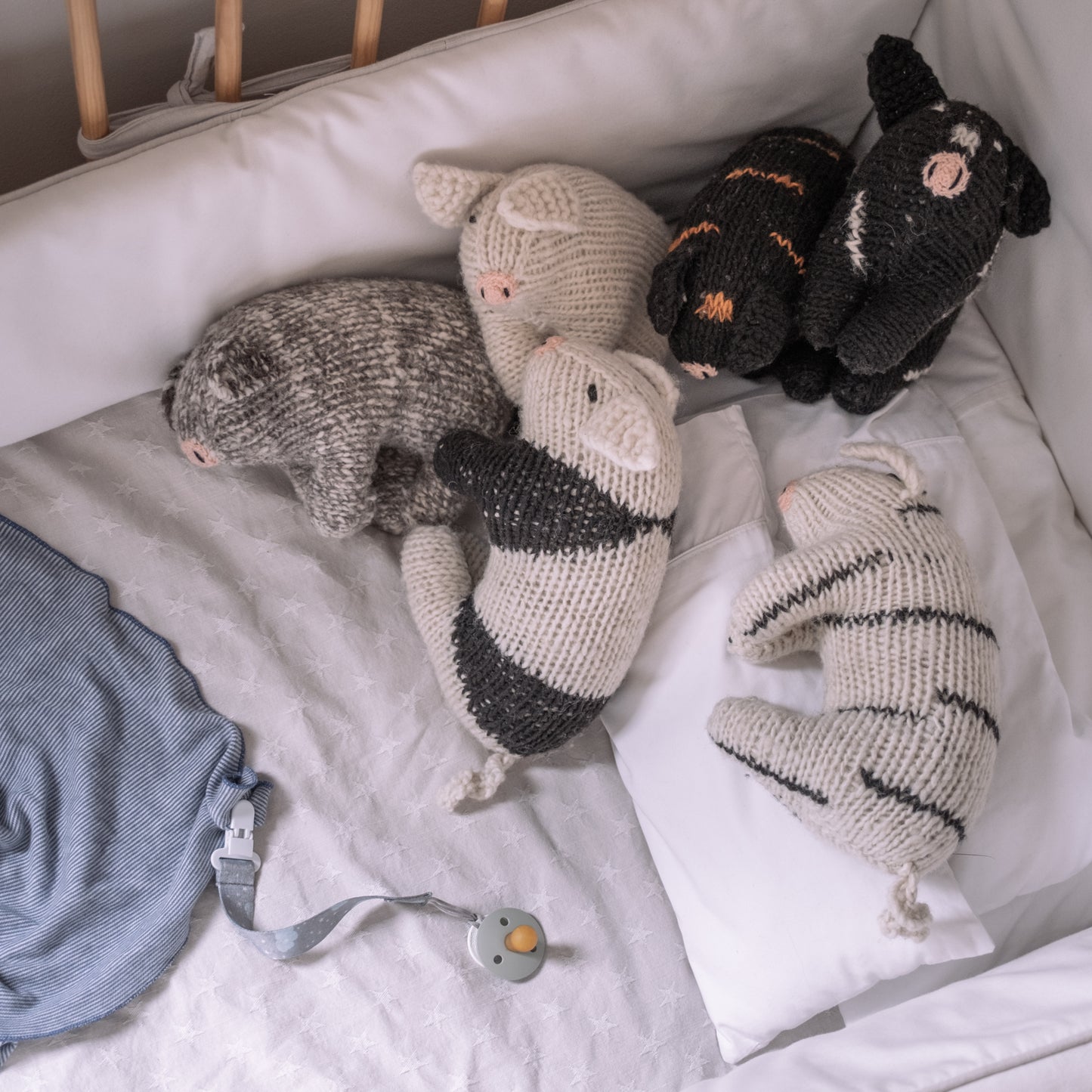 Little Pig Robemilio